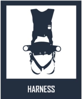 Harness