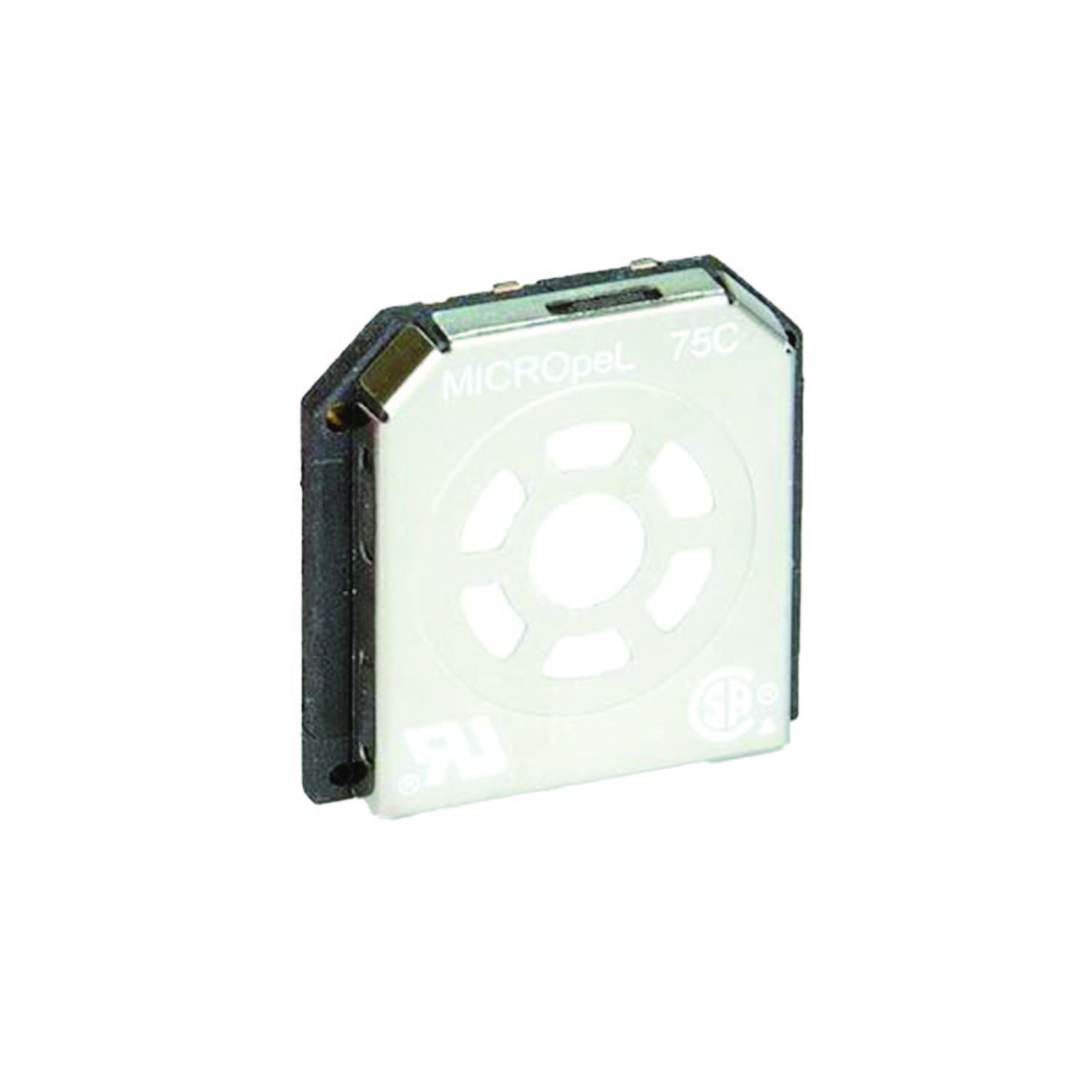 BW MicroPel 75C Sensor Replacement LEL